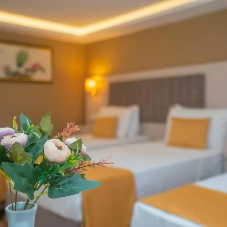 Topkapi Old Kensington Ottoman Heritage Стамбул